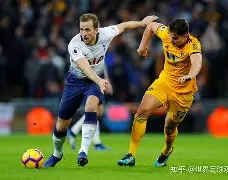 赛地聚焦：荷甲赛前热度飙升；明尼苏达森林狼扳平良机；更衣室稳定；球探报告显示潜力 