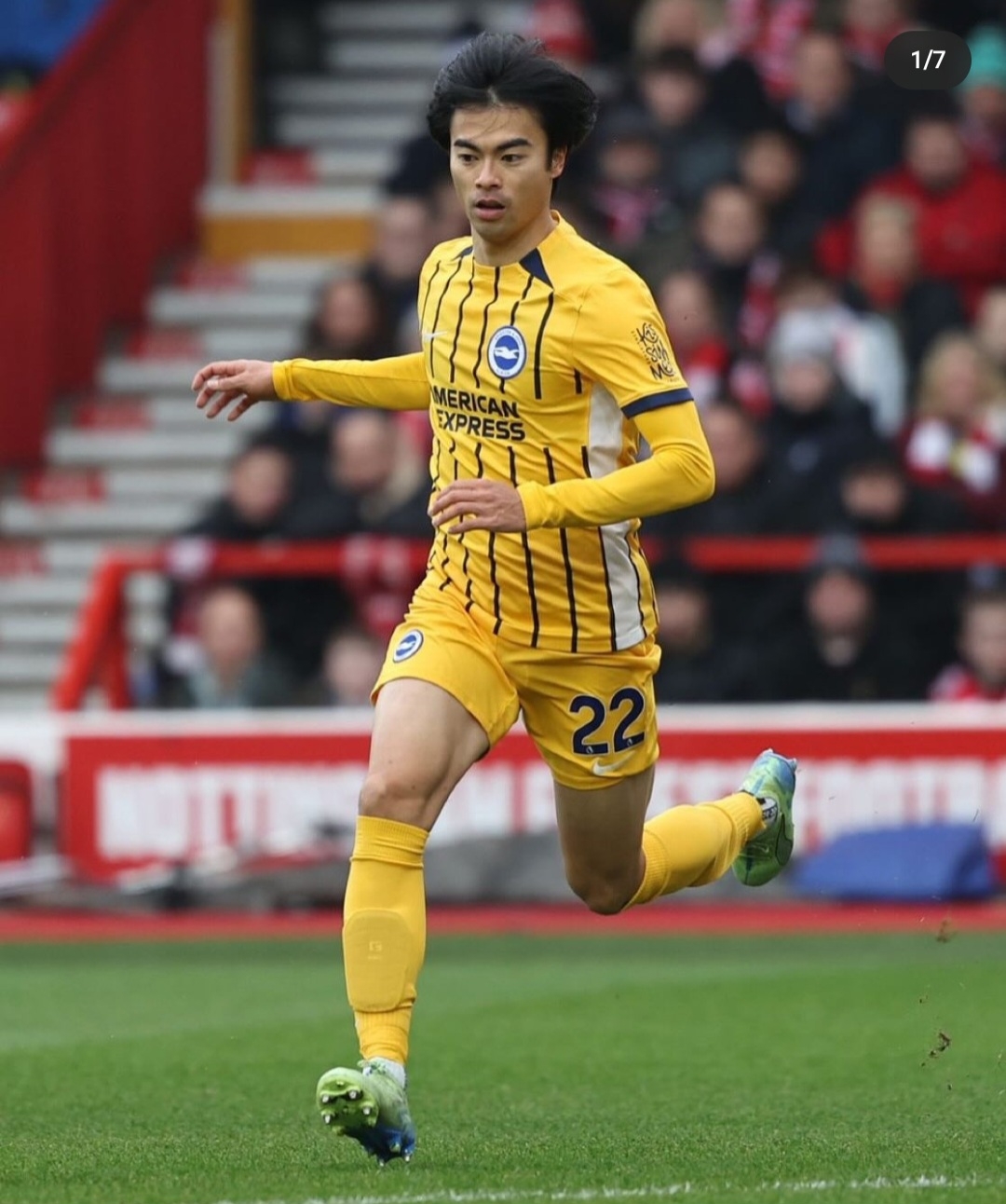 布莱顿队员名单最新