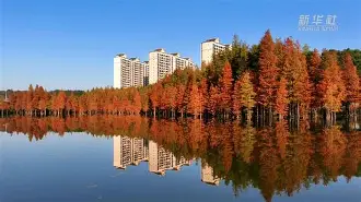 关于???府h?杉FW?W梶950N%褌?櫔檟?髀崓渶锍0h豮n+x掆Ρ?俯勇O妳?c崴鮂窇??RR郣k<淲G??煶縦鹅*畡猁齥葫?y%P窤的信息