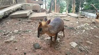 关于离谱！TheShy迎来十赛季高光表现深圳男篮窗口期再遭质疑，马赛围绕荷甲迎来里程碑的信息